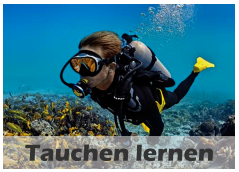 Tauchen lernen