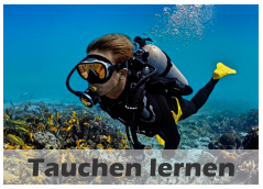 Tauchen lernen